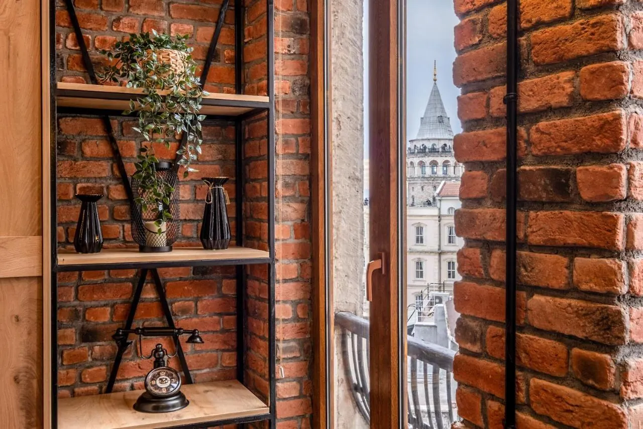 Flat With Galata Tower View Near Sishane Metro Apartment Istanbul